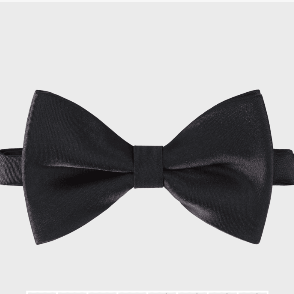 Sophos Silk Bow Tie
