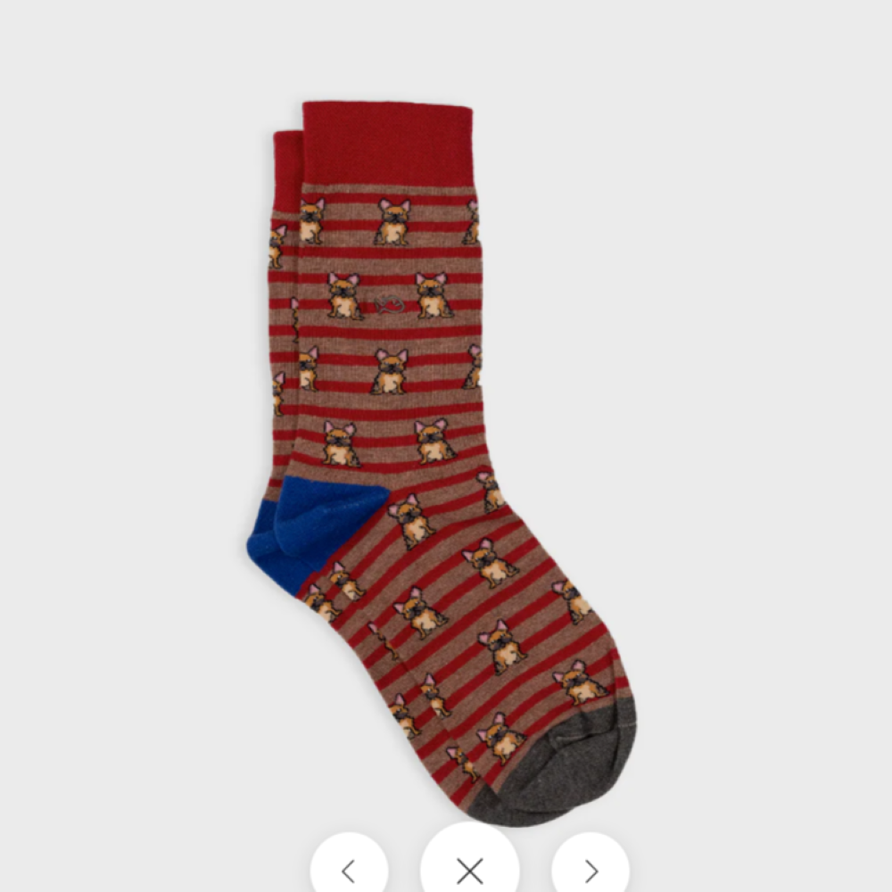 BillyBelt Dog Socks