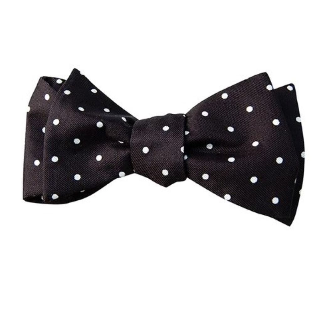 Fox and Chave Bow Tie
