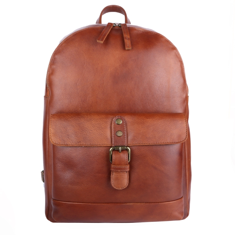 ashwood backpack