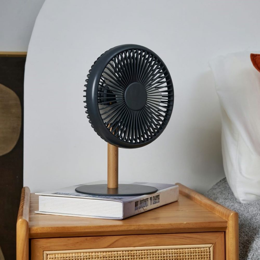 Gingko Detachable Desk Fan / Light