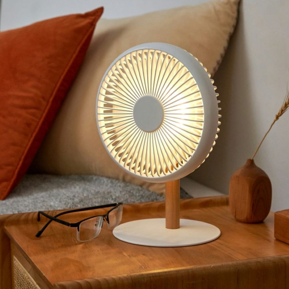 Gingko Detachable Desk Fan / Light
